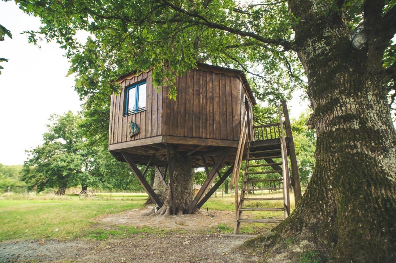 La ferme de Piardiere Plessé Extérieur photo